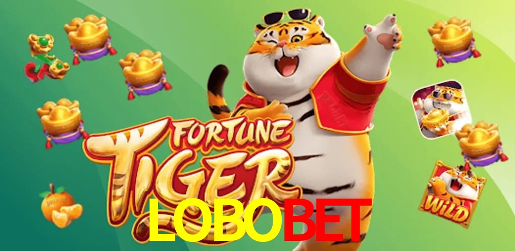 Experiência VIP LOBOBET